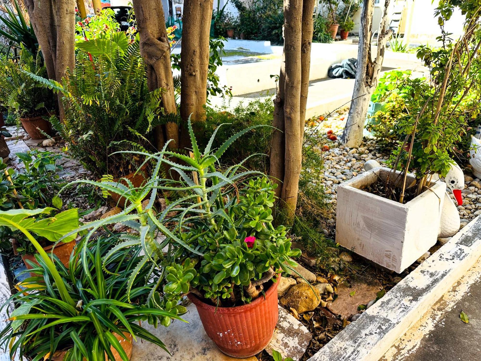 Matina Room Chrissi Akti Chania Exterior foto